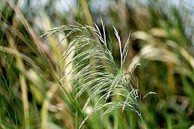 动作冒险游戏《Ghost Song》推出试玩Demo 今年正式发售