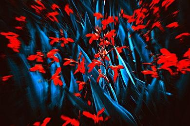 Fami通新一周销量榜 《鬼灭之刃：火之神血风谭》二连冠